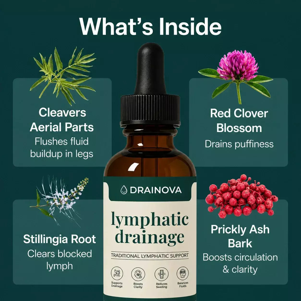 Drainova Lymphatic Drainage (New)