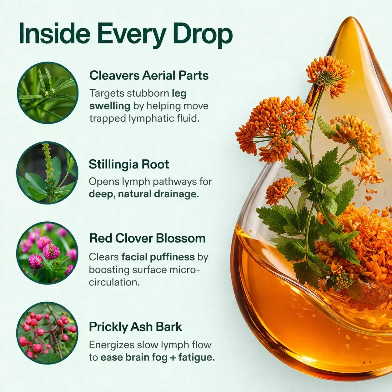 Drainova Lymphatic Drainage